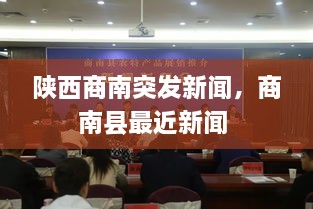 陜西商南突發(fā)新聞，商南縣最近新聞 