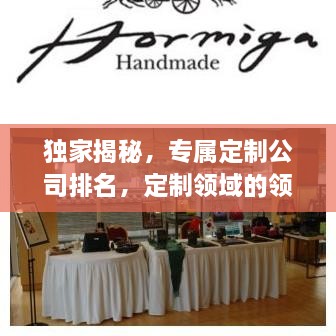 獨家揭秘，專屬定制公司排名，定制領域的領軍者