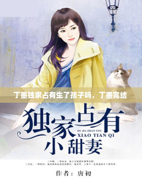 丁墨獨家占有生了孩子嗎，丁墨完結 