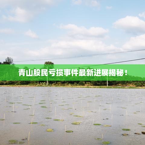 青山股民虧損事件最新進展揭秘！