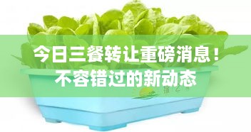 今日三餐轉(zhuǎn)讓重磅消息！不容錯(cuò)過(guò)的新動(dòng)態(tài)