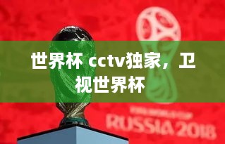 世界杯 cctv獨(dú)家，衛(wèi)視世界杯 
