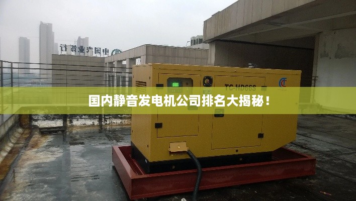 國內(nèi)靜音發(fā)電機公司排名大揭秘！