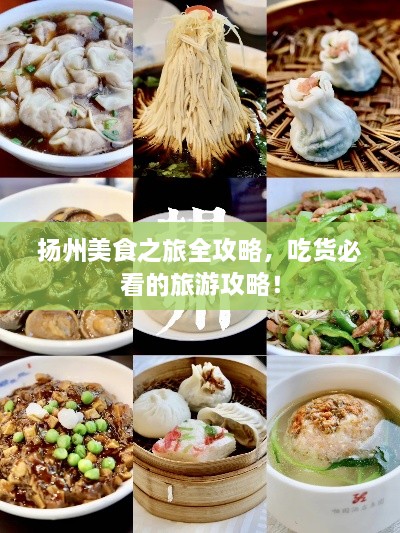 揚州美食之旅全攻略，吃貨必看的旅游攻略！