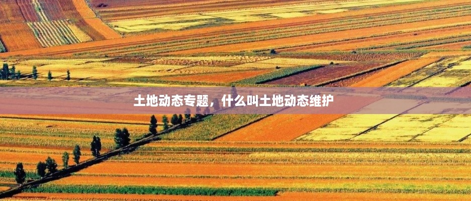 土地動(dòng)態(tài)專題，什么叫土地動(dòng)態(tài)維護(hù) 