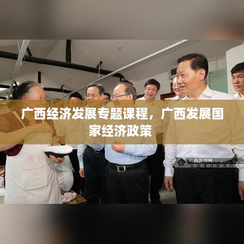 廣西經(jīng)濟(jì)發(fā)展專題課程，廣西發(fā)展國家經(jīng)濟(jì)政策 