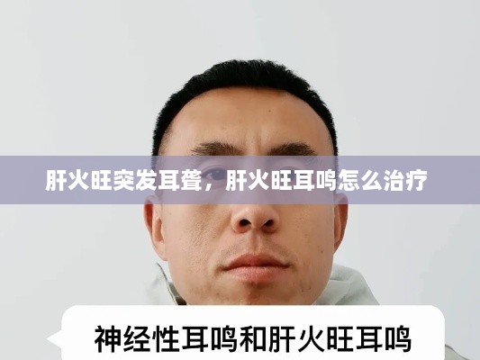 肝火旺突發(fā)耳聾，肝火旺耳鳴怎么治療 