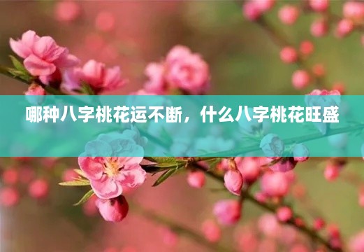 哪種八字桃花運不斷，什么八字桃花旺盛 