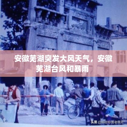 安徽蕪湖突發(fā)大風天氣，安徽蕪湖臺風和暴雨 