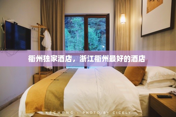 衢州獨(dú)家酒店，浙江衢州最好的酒店 