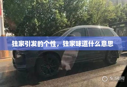 獨家引發(fā)的個性，獨家味道什么意思 