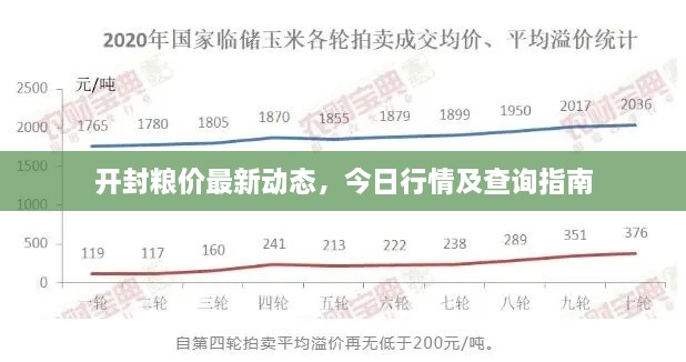 開封糧價最新動態(tài)，今日行情及查詢指南