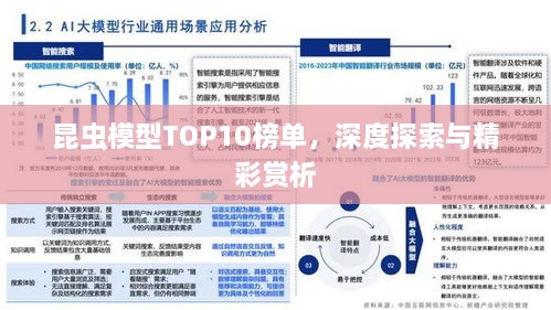 昆蟲模型TOP10榜單，深度探索與精彩賞析