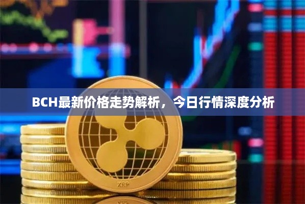 BCH最新價(jià)格走勢(shì)解析，今日行情深度分析