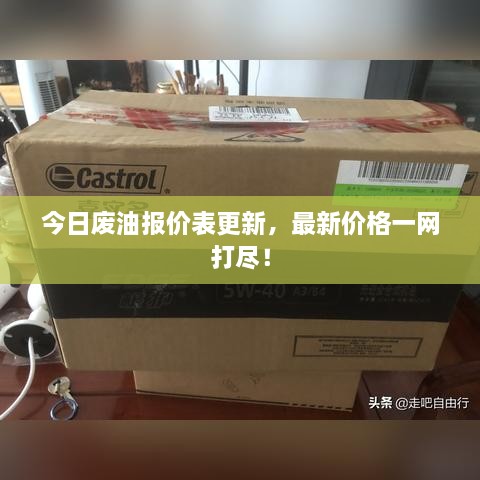 今日廢油報(bào)價(jià)表更新，最新價(jià)格一網(wǎng)打盡！