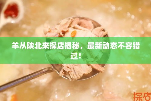 羊從陜北來探店揭秘，最新動(dòng)態(tài)不容錯(cuò)過！