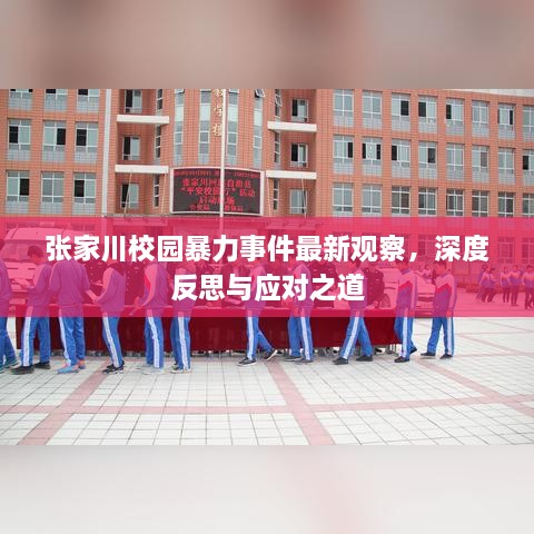 張家川校園暴力事件最新觀察，深度反思與應對之道