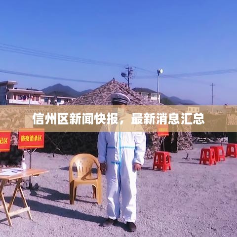 信州區(qū)新聞快報，最新消息匯總