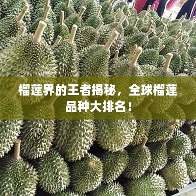 榴蓮界的王者揭秘，全球榴蓮品種大排名！