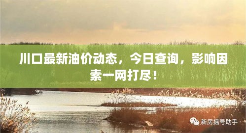 川口最新油價動態(tài)，今日查詢，影響因素一網(wǎng)打盡！