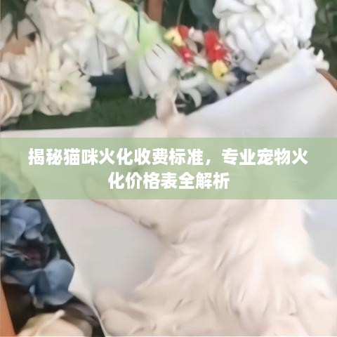 揭秘貓咪火化收費(fèi)標(biāo)準(zhǔn)，專(zhuān)業(yè)寵物火化價(jià)格表全解析