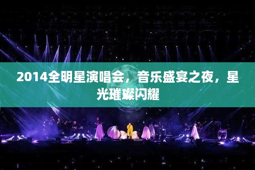 2014全明星演唱會(huì)，音樂盛宴之夜，星光璀璨閃耀