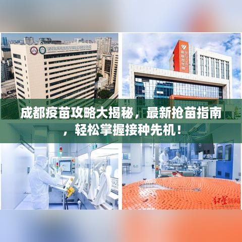 成都疫苗攻略大揭秘，最新?lián)屆缰改?，輕松掌握接種先機！