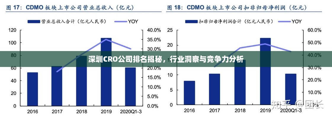 深圳CRO公司排名揭秘，行業(yè)洞察與競(jìng)爭(zhēng)力分析