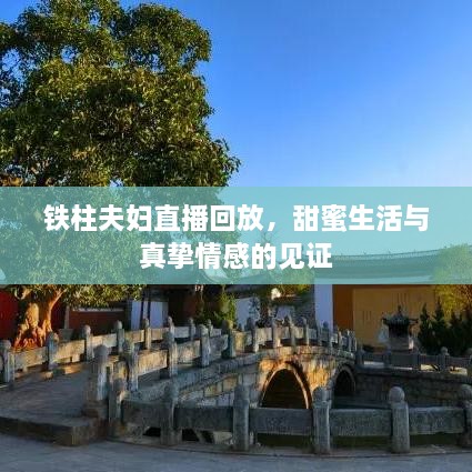 鐵柱夫婦直播回放，甜蜜生活與真摯情感的見(jiàn)證