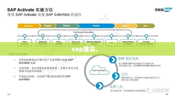 sap落實， 