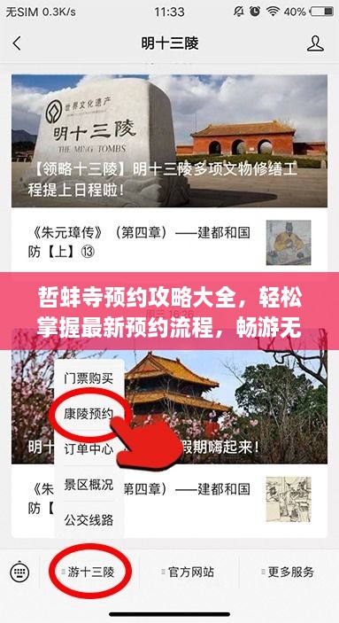 哲蚌寺預約攻略大全，輕松掌握最新預約流程，暢游無阻！