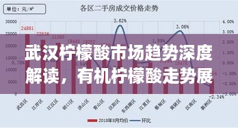 武漢檸檬酸市場趨勢深度解讀，有機檸檬酸走勢展望