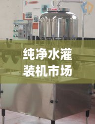 純凈水灌裝機(jī)市場走勢解析，最新行情深度探討