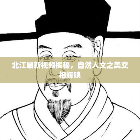 2025年1月20日 第5頁