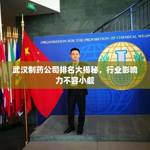 武漢制藥公司排名大揭秘，行業(yè)影響力不容小覷