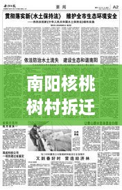 南陽核桃樹村拆遷重磅更新，最新動態(tài)揭秘！
