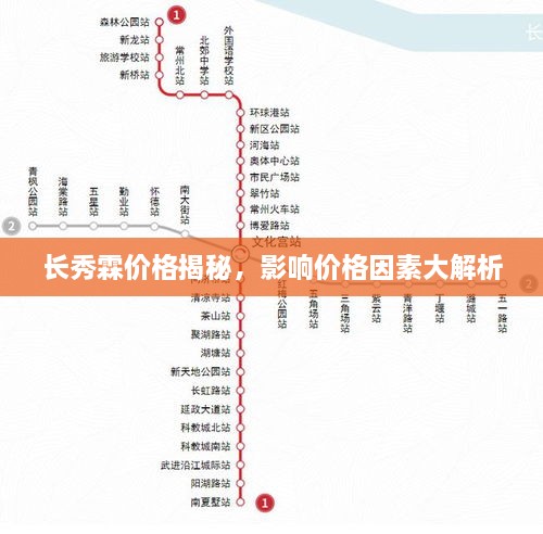 長秀霖價格揭秘，影響價格因素大解析
