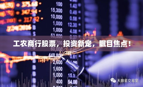 工農(nóng)商行股票，投資新寵，矚目焦點！