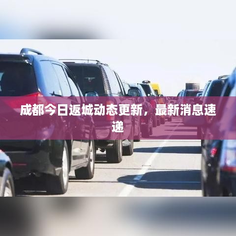 成都今日返城動(dòng)態(tài)更新，最新消息速遞