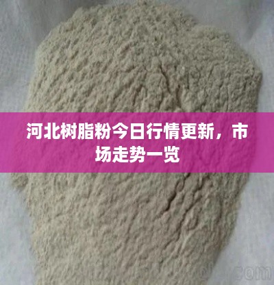 河北樹脂粉今日行情更新，市場(chǎng)走勢(shì)一覽