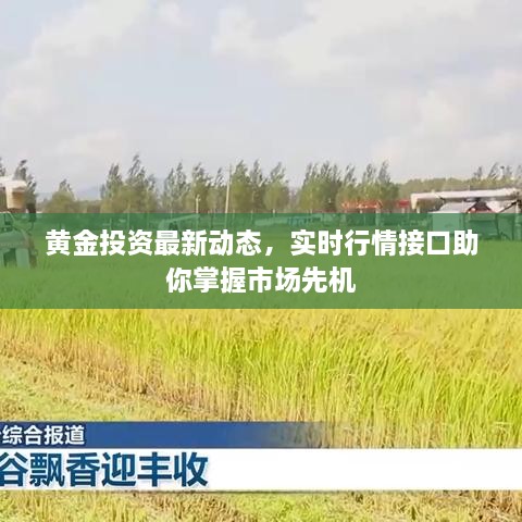 黃金投資最新動態(tài)，實時行情接口助你掌握市場先機