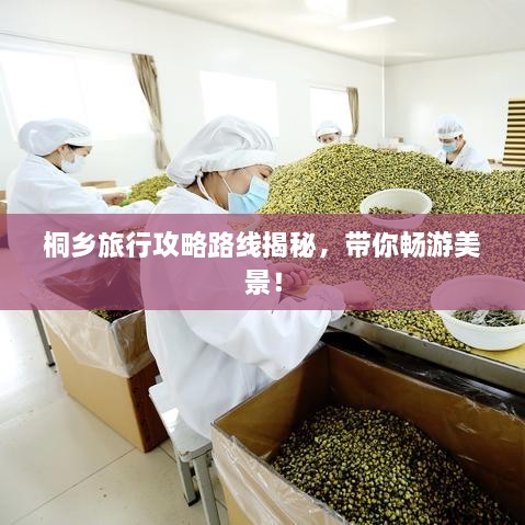 桐鄉(xiāng)旅行攻略路線揭秘，帶你暢游美景！