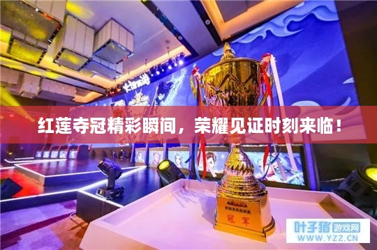 紅蓮奪冠精彩瞬間，榮耀見證時刻來臨！