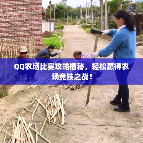 QQ農(nóng)場(chǎng)比賽攻略揭秘，輕松贏得農(nóng)場(chǎng)競(jìng)技之戰(zhàn)！