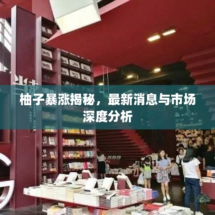 柚子暴漲揭秘，最新消息與市場深度分析