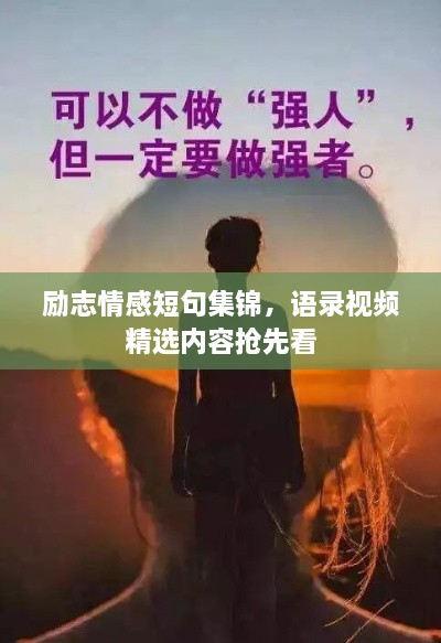 勵志情感短句集錦，語錄視頻精選內(nèi)容搶先看