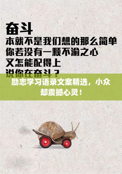 勵志學習語錄文案精選，小眾卻震撼心靈！
