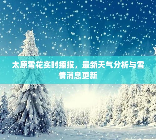 太原雪花實時播報，最新天氣分析與雪情消息更新