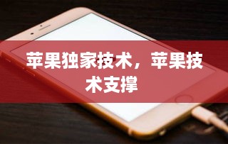 蘋果獨(dú)家技術(shù)，蘋果技術(shù)支撐 