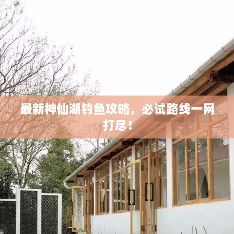 最新神仙湖釣魚攻略，必試路線一網(wǎng)打盡！